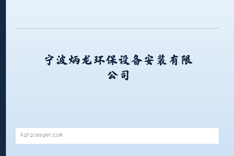 宁波炳龙环保设备安装有限公司 列表图